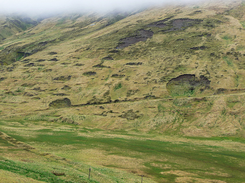 Bomb Craters on the Hillside